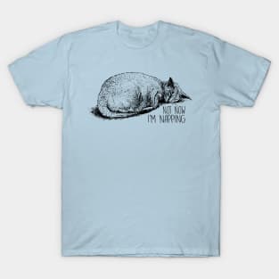 Not Now I'm Napping - Cat Lover Cats T-Shirt